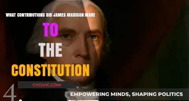 James Madison's Influence on the Constitution