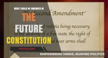 Future Amendments: A Better Constitution