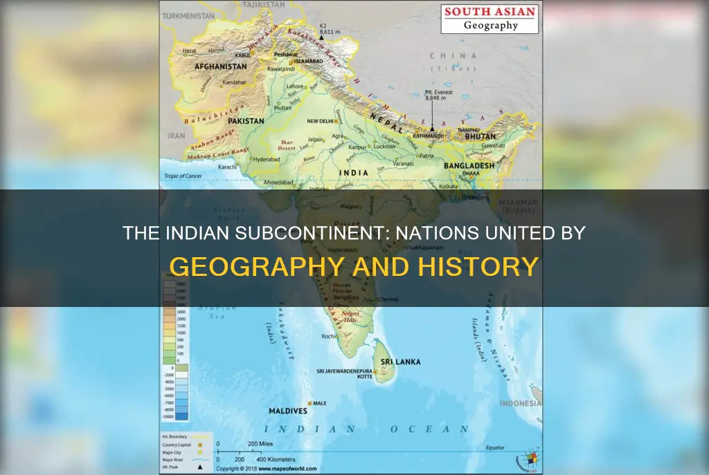 what countries constitute the indian subcontinent