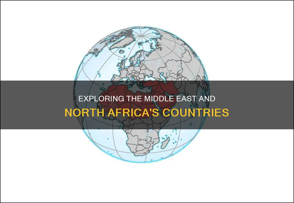 what countries constitute the middle east and north africa