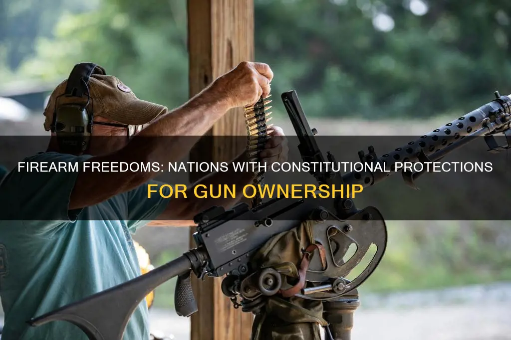 what countries have constitutional protections for firearms ownership