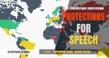 Constitutional Free Speech Protections: A Global Perspective