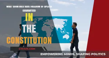 Constitutional Freedom of Speech: Which Countries Guarantee It?