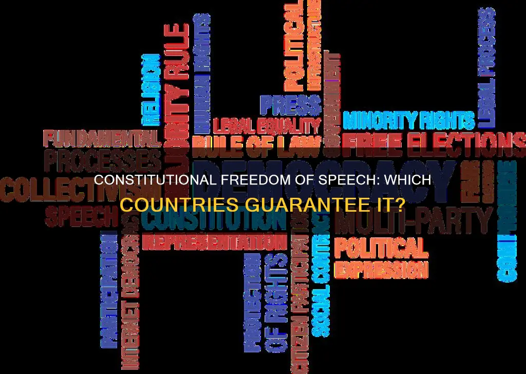 what countries have freedom of speech guaranteed in the constitution