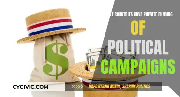 Private Political Funding: A Global Overview