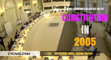 Rejected EU Constitution: The Countries That Said No in 2005