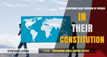 Global Freedom of Speech: Nations with Constitutional Protections