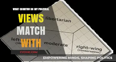Discover Your Political Twin: Which Country Aligns with Your Views?