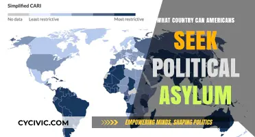 Seeking Refuge: A Guide to Political Asylum Options for Americans