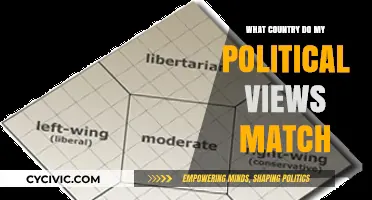 Discover Your Political Twin: Which Country Aligns with Your Views?