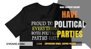 Exploring Nations Without Political Parties: Unique Governance Models Worldwide