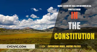 Green Laws: Nations with Environmental Protections in Constitutions