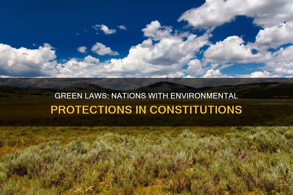 what country has environmental protectiosn in the constitution