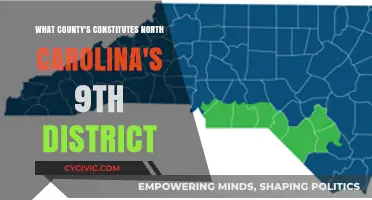 Counties in North Carolina's 9th District Explained