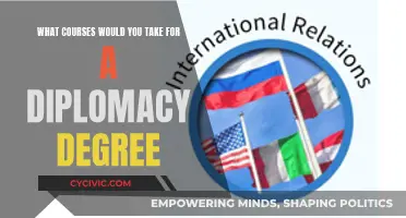 Essential Courses for a Diplomacy Degree