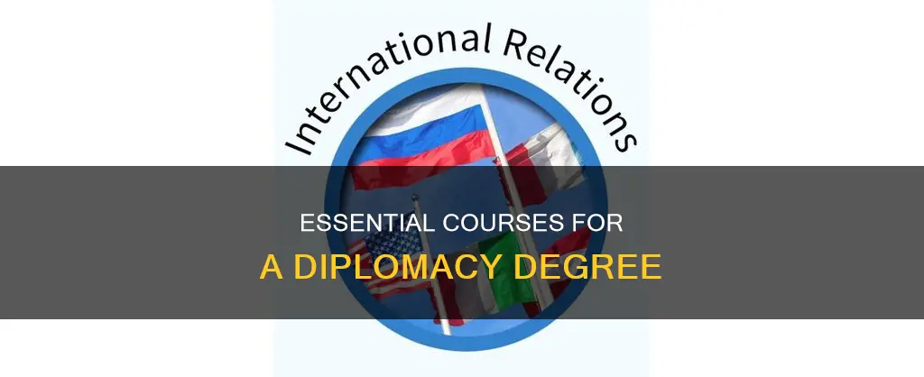 what courses would you take for a diplomacy degree