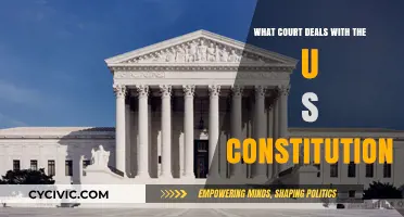 The Supreme Court: Guardians of the US Constitution