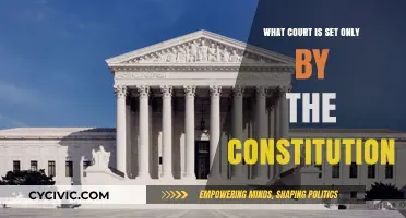 The Supreme Court: Our Constitution's Highest Court