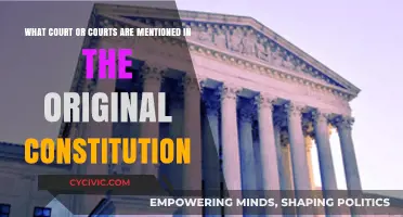 The Supreme Court's Original Constitutional Mention
