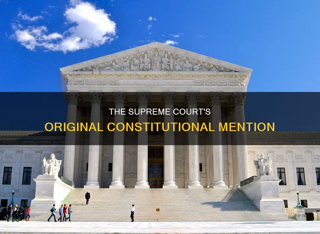 what court or courts are mentioned in the original constitution