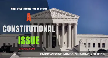 Where to Take Constitutional Issues: A Court Guide