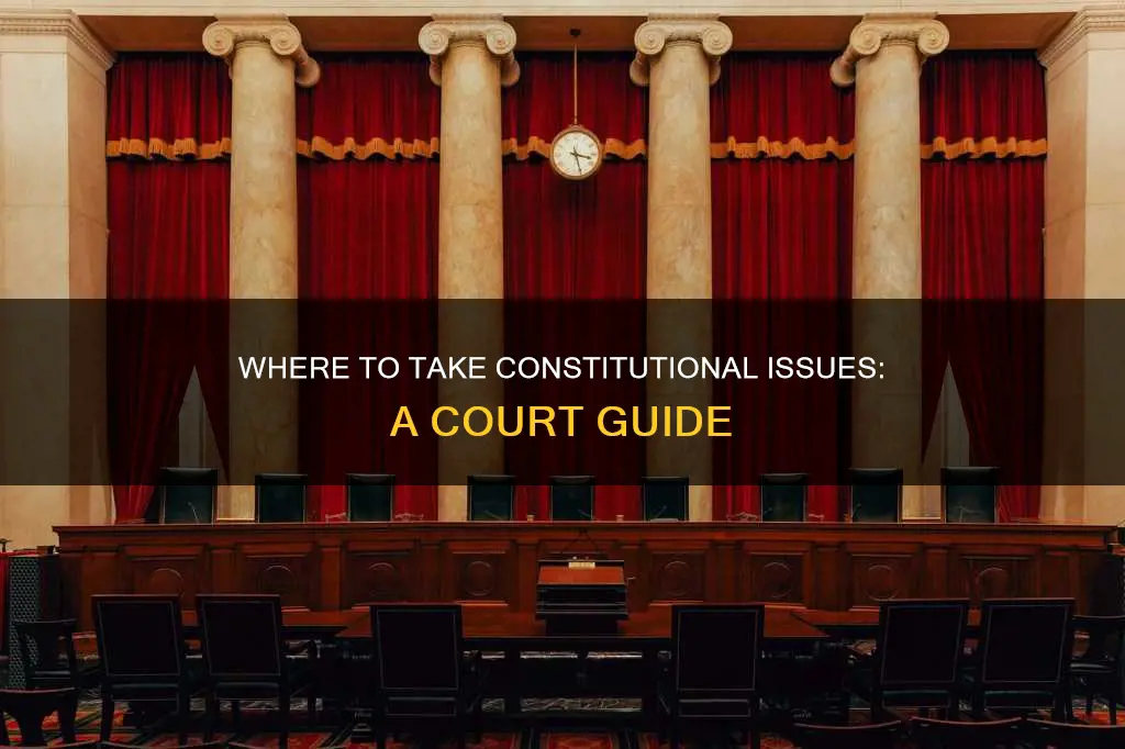 what court would you go to for a constitutional issue