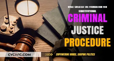 The Foundation of Constitutional Criminal Justice Procedure