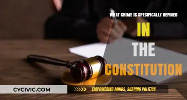 Crimes Defined by the Constitution: Exploring the Details