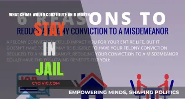 Jail Time: Understanding the Severity of Your Crime