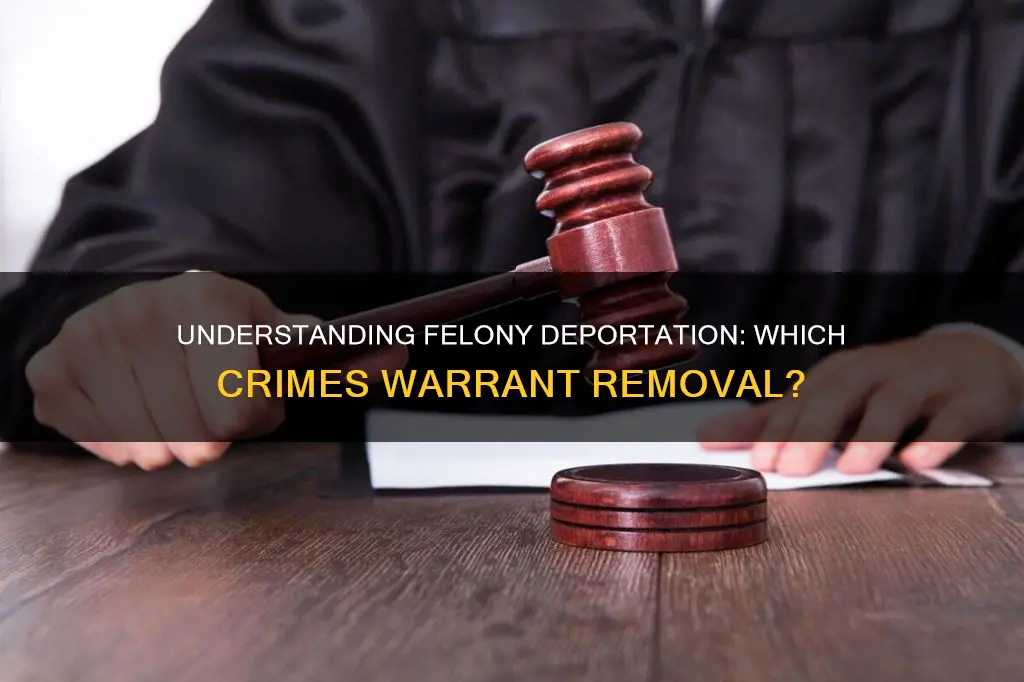 what crimes constitute a felony that warrants deportation