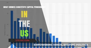 Capital Crimes: Understanding US Capital Punishment Laws