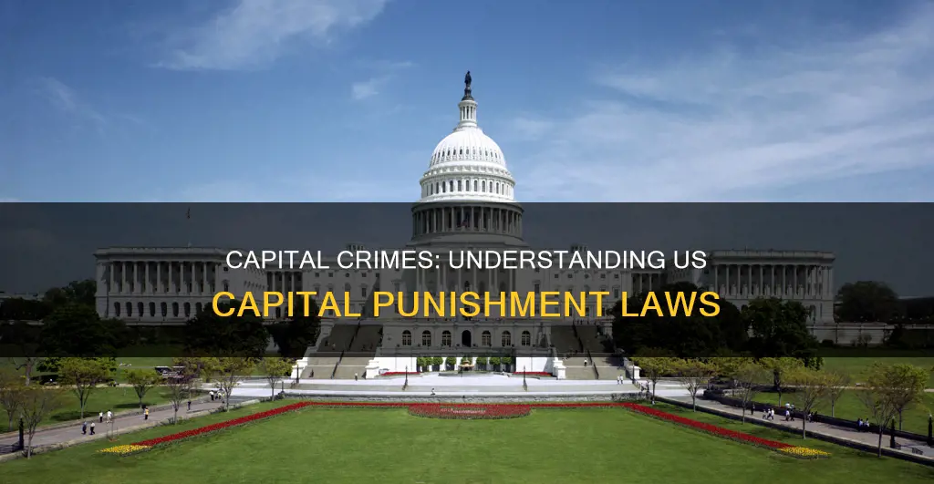 what crimes constitute capital punishment in the us