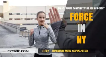 Deadly Force in NY: When is it Justified?