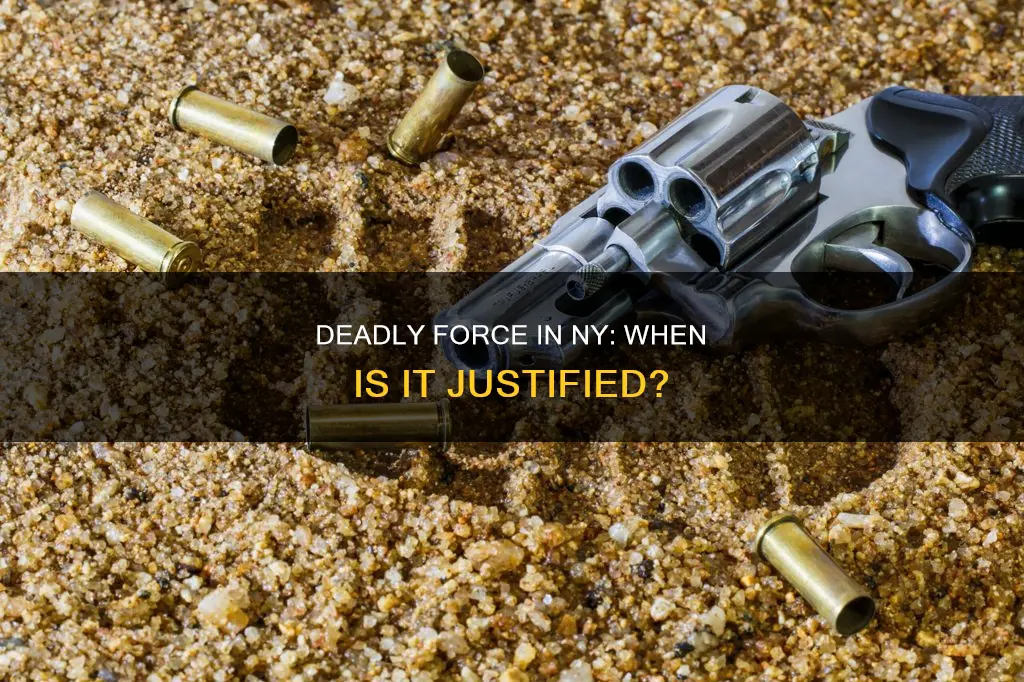 what crimes constitute the use of deadly force in ny