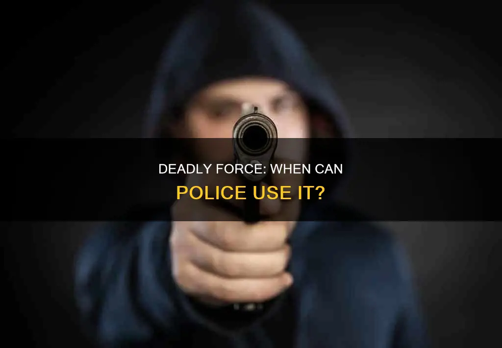 what crimes constitute the use of deadly force