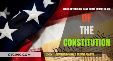 The Constitution: What are its Critics?