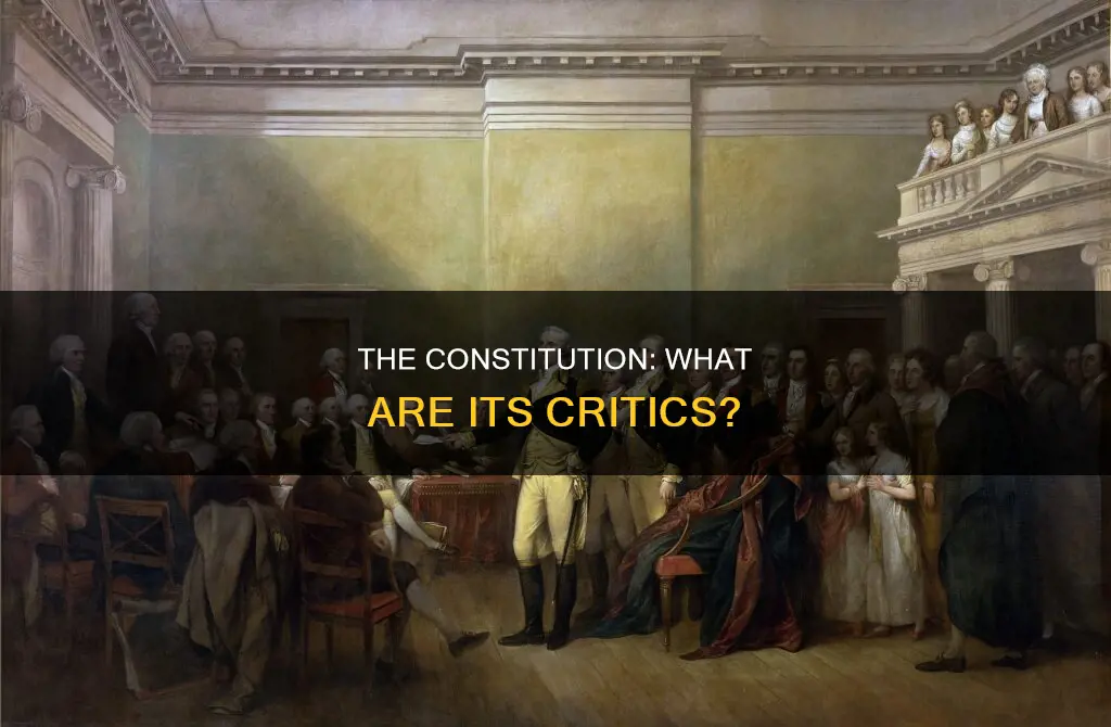 what criticisms have some people made of the constitution