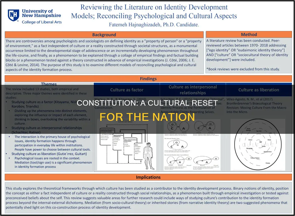what cultural factors were addressed by the constitution