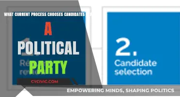 How Political Parties Select Their Candidates: Current Processes Explained