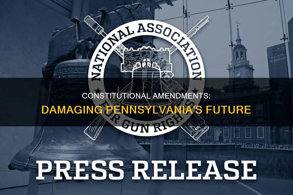 what damage will the constitutional amendment in pennsylvania cause