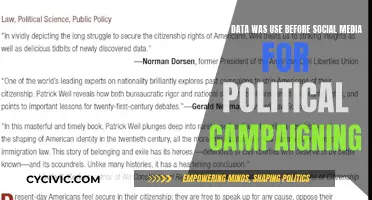 Political Campaigning: Pre-Social Media Data Sources