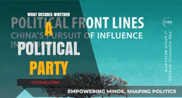 Key Factors Shaping Political Party Success and Influence in Modern Politics