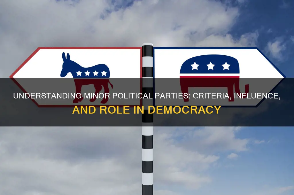 what defines a minor political party