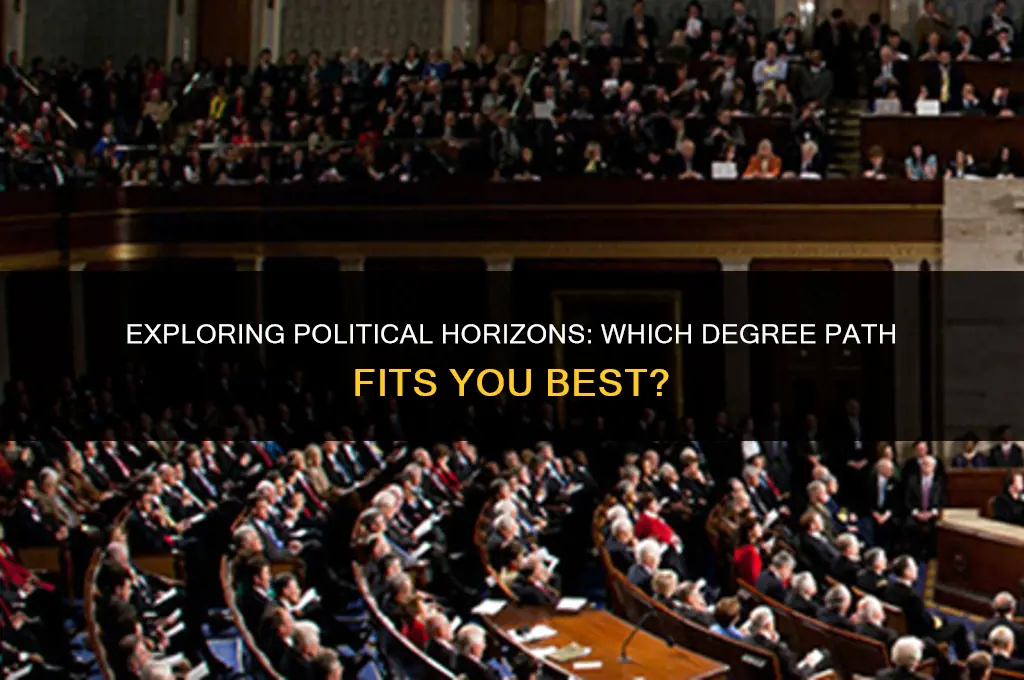 what degree for politics
