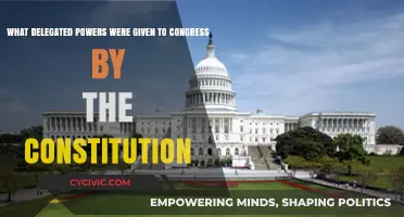 Congress's Delegated Powers: Understanding Constitutional Authority