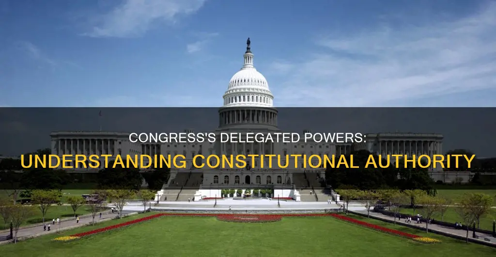 what delegated powers were given to congress by the constitution