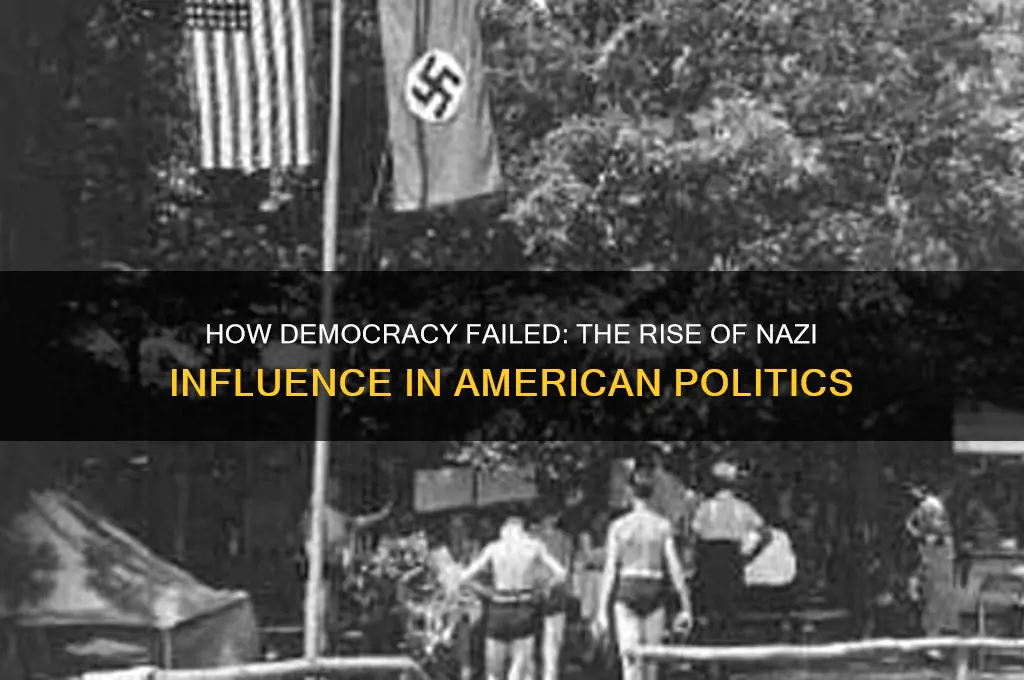 what democratic let the nazis become an amerivan political party