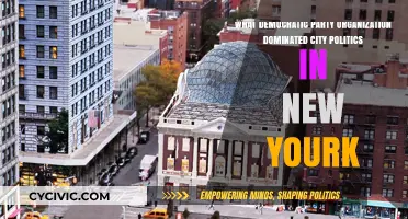 Tammany Hall's Grip: How It Dominated NYC's Democratic Politics