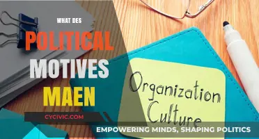 Unveiling the Hidden Agendas: What Do Political Motives Mean?