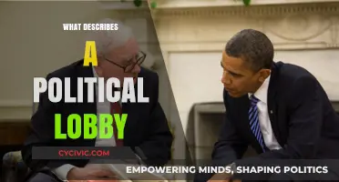 Decoding the Dynamics of Political Lobbying: Influence in Action